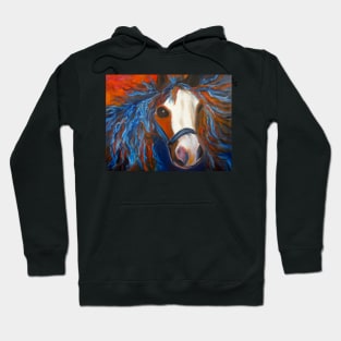 Welsh Pony Hoodie